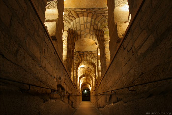 Consolidations du musée des catacombes