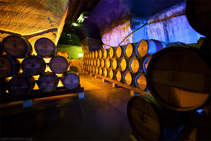 Carrière de molasse - Cave à vin
